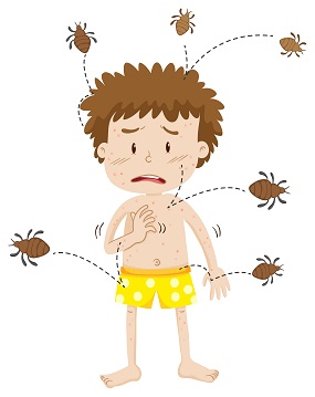 "Bed bugs" The threat to your sleep!